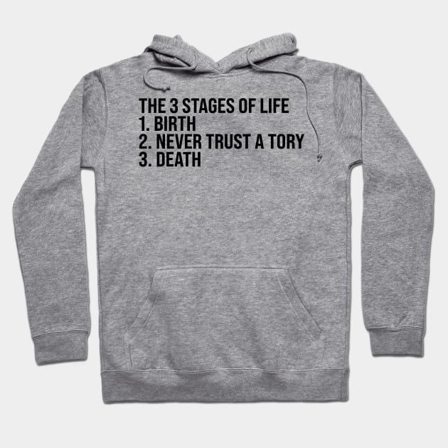 The 3 Stages of Life Hoodie by n23tees